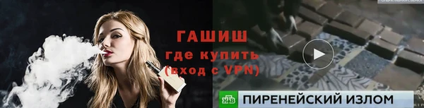 шишки Верея