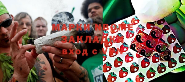 шишки Верея