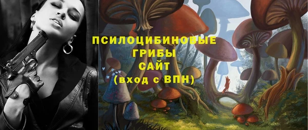хмурый Бронницы